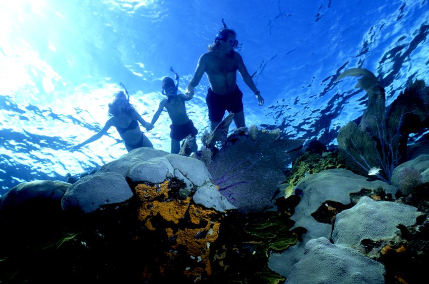 sea, underwater, nature, greece